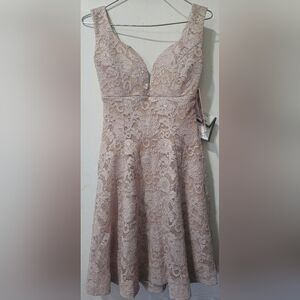 Elegant Lace Sleeveless Dress